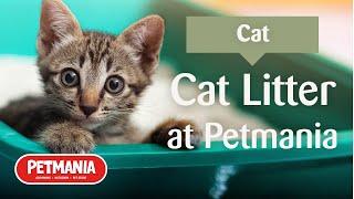 Cat Litter at Petmania