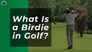 What Is a Birdie in Golf? [EXPLAINED]