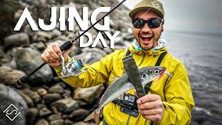 AJING DAY - RockFishing