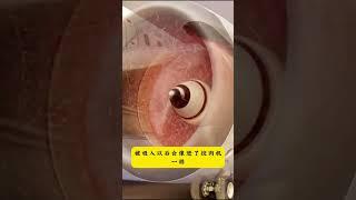 人被吸進飛機引擎里有多恐怖？#科普#飛機#發動機#科技