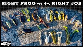 FROG FISHING ROUND-UP | Answering Questions & Running Through So Many Frogs