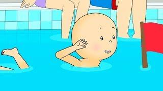 Caillou's Front Crawl | Caillou Cartoon