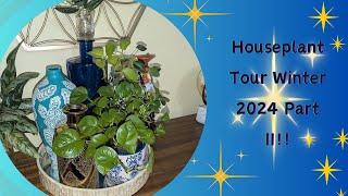 Houseplant Tour Winter 2024 Part II !