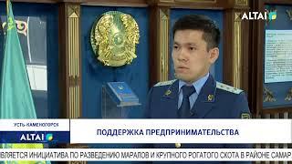 Поддержка предпринимательства