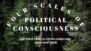 Four Scales of Political Consciousness