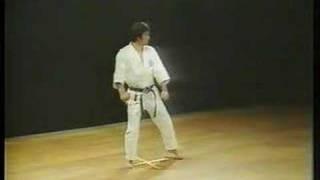 Heian Nidan - Shotokan Karate