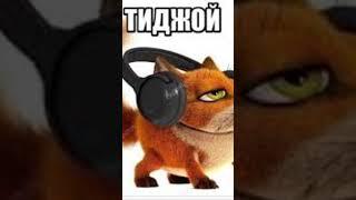тиджой