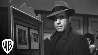 The Maltese Falcon | 4K Trailer | Warner Bros. Entertainment