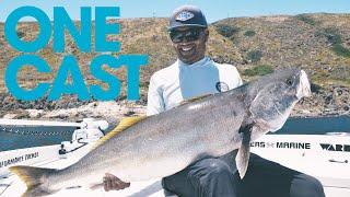 BIG WHITE SEA BASS  |  War/Rig  WSB  |  ONE CAST SERIES