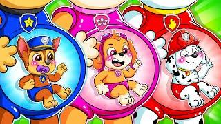 Brewing Cute Pregnant & Cute Baby Factory - Paw Patrol The Mighty Movie - Funny Life - Rainbow 3