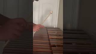 100 Days of Practice Day 20 Rhythmic Scale Variations