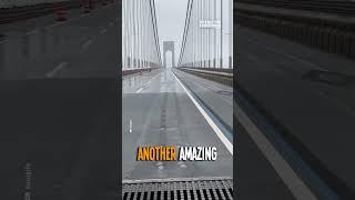 The Verrazano Bridge Expansion Joints