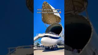 Airbus Beluga #shortsvideo #aviation #shorts