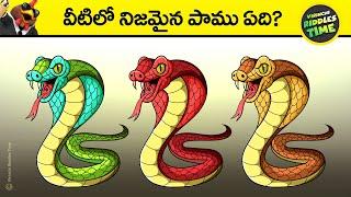  నిజమైన పాము ఏది | virinchi riddles time | telugu riddles | riddles in telugu | chicken dinner