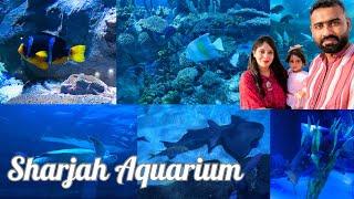 Top places to visit in Sharjah  | Sharjah aquarium | Summer inspirations