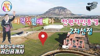 (제주특급매물)당100만파격적인매매가 2차선접한전원적인풍경토지#사계리토지