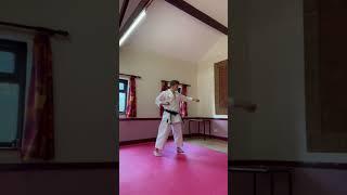 Basics, Basics, Basics#karate #kata #training #worldkarate #athlete #karateka #shitoryu