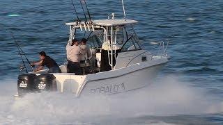 Robalo 2440 Walkaround
