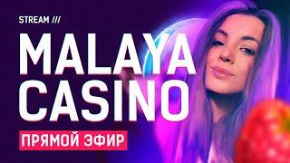 СТРИМ КАЗИНО ОНЛАЙН / ЛОВИМ ЗАНОСЫ НЕДЕЛИ   #заносы #заносынедели #malayacasino