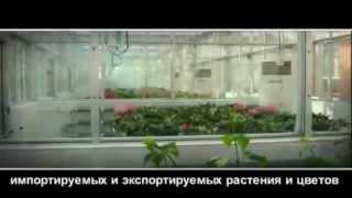 Производство теплиц
