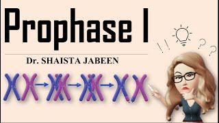 Prophase 1 Stages I Leptotene, Zygotene, Pachytene, Diplotene, Diakinesis I Meiosis1 I Recombination