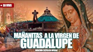 MAÑANITAS A LA VIRGEN DE GUADALUPE DESDE LA BASILICA DE NUESTRA SEÑORA DE GUADALUPE/12 DICIEMBRE2024