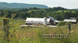 Holistic Management Revitalizes a Farm