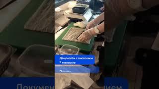  Наша ученица – Повар-сушист
