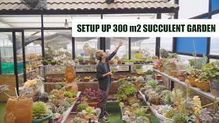 Garden Tour - How I setup My 300m2 Succulent Garden // Joy Garden Succulent