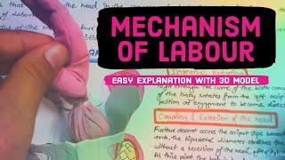 Mechanism of labour - Easy notes and explanation in Hindi #obstetricsandgynecology #labour