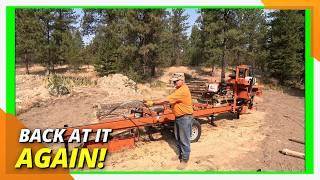 Sawmilling an oddly shaped log for a custom headboard