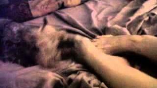 Sassi and Kim's Feet.3GP