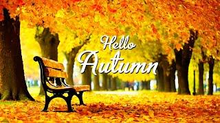 Autumn! Collection of the BEST Melodies that give you goosebumps  Music For the Soul