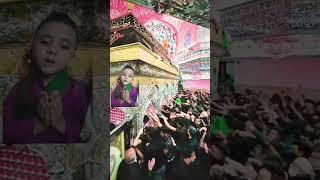 Zarih imam Hussain a s ziyarat kar k share karain#foryou #facts #history #travel #karbala