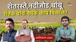 Budget for Farmers: शेतकऱ्यांसाठी अर्थसंकल्पात कोणत्या योजना जाहीर झाल्या ? | Agrowon