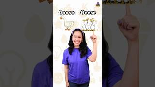 Learn Singular & Plural Nouns | English Grammar for Kids