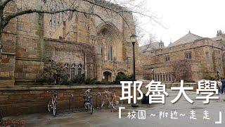 【耶鲁大學 Yale University】Campus Walking Tour  | College Tour 常春藤大學 漫步￼秋天美麗的校園