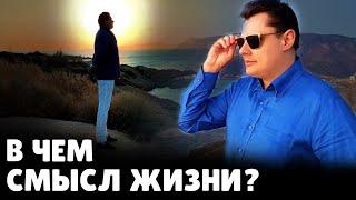 В чем смысл жизни? | Евгений Понасенков