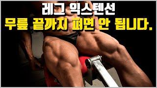 정상급 코치들의 레그 익스텐션 꿀팁 정리