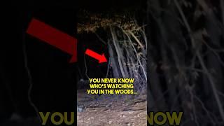 NEVER Go to The Woods at Night…