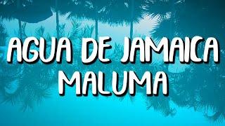 Maluma - Agua de Jamaica (Letra/Lyrics)