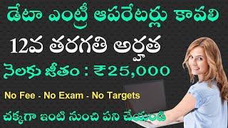 డేటా ఎంట్రీ ఆపరేటర్లు కావాలి మాకు || work from home jobs