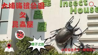 |2020|大埔海濱公園設施之一|Insert House|昆蟲屋|親子活動|各式昆蟲|獨角仙|蝴蝶|螞蟻|昆蟲標本和模型|展覽|圖片及文字介紹|昆蟲的身體結構及蛻變過程外|小芝芝看天下~休閒篇(二)