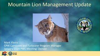 Colorado Parks and Wildlife | Mountain Lion Management Update