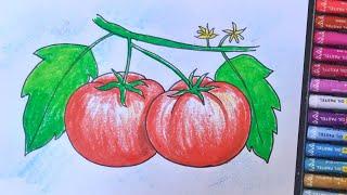 How to draw Tomatoes step by step / Tomato drawing easy / Tomatoes drawing