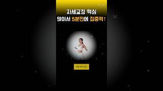 자세교정핵심 매일 의자에 앉아서 5분만 해보세요 집중력이 기적처럼 올라갑니다. 목 어깨 허리 통증 자세교정의 뇌과학 공시생 수험생 공시탈출 포기하지 마세요! 하루 시작 루틴 추천