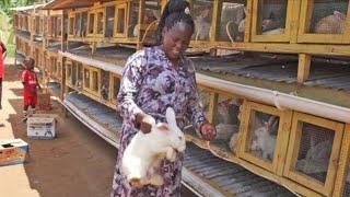 Rabbit Queen | Making the  Million $ EASILY (Rabbit Farming)