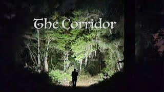 Sasquatch: The Corridor