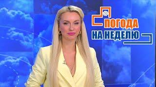 До нуля градусов! / Погода на неделю / Прогноз погоды с 26 сентября по 2 октября 2022 / Плюс-минус