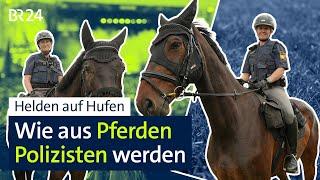 Helden auf Hufen: Wie aus Pferden Polizisten werden I BR24 vor Ort